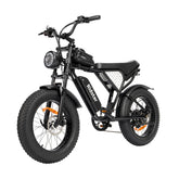 Ridstar Q20 Electric Bike - 500W Motor 48V15Ah Battery 20" Tires Mechanical Disc Brakes - Black